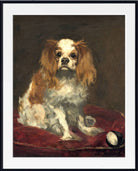 Édouard Manet Print : King Charles Spaniel