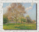 Camille Pissarro Print, The large walnut tree in Éragny, afternoon (1900)