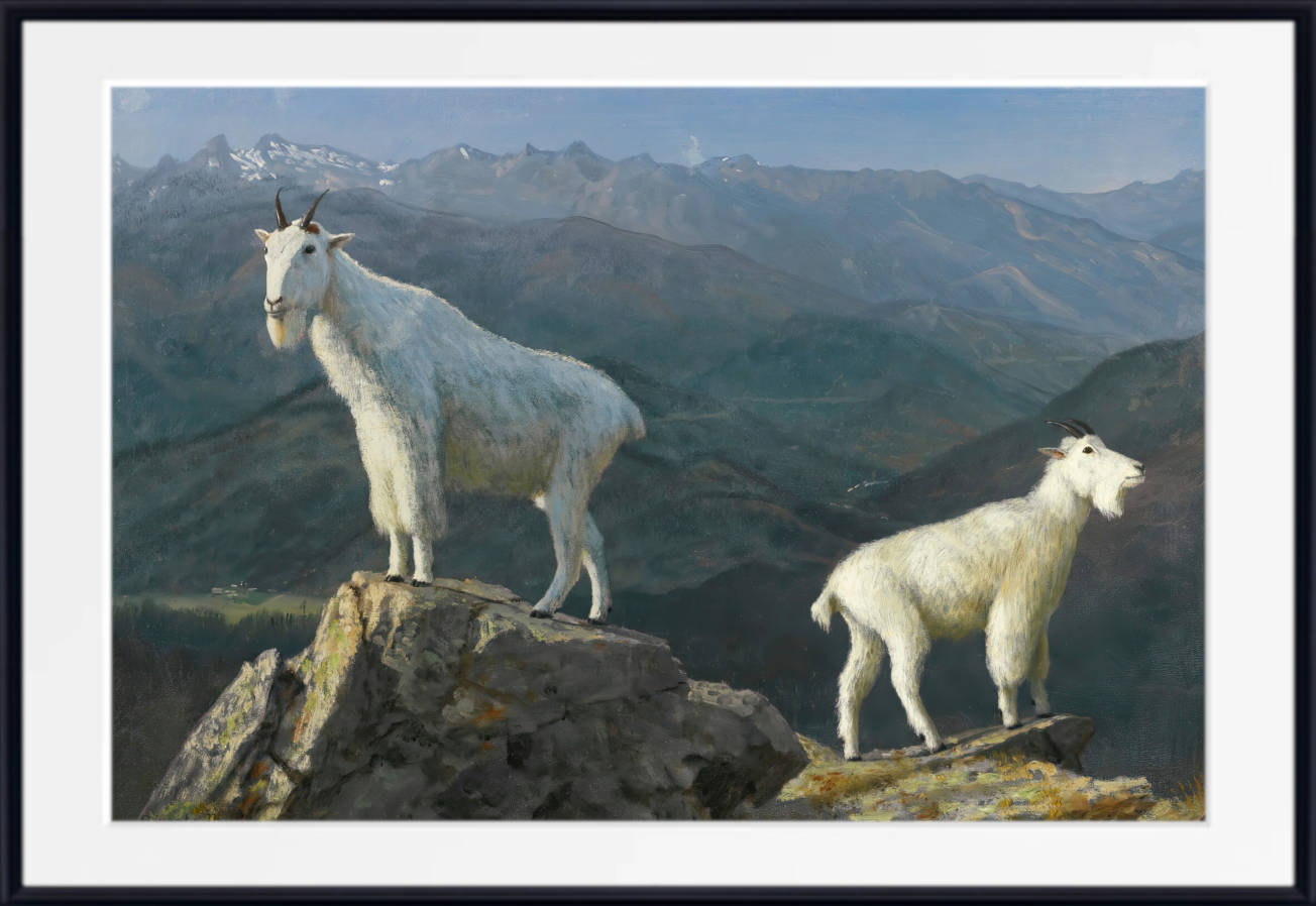 Albert Bierstadt Print : Mountain goats