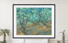 Vincent van Gogh Print, Olive Grove