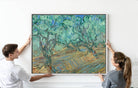 Vincent van Gogh Print, Olive Grove