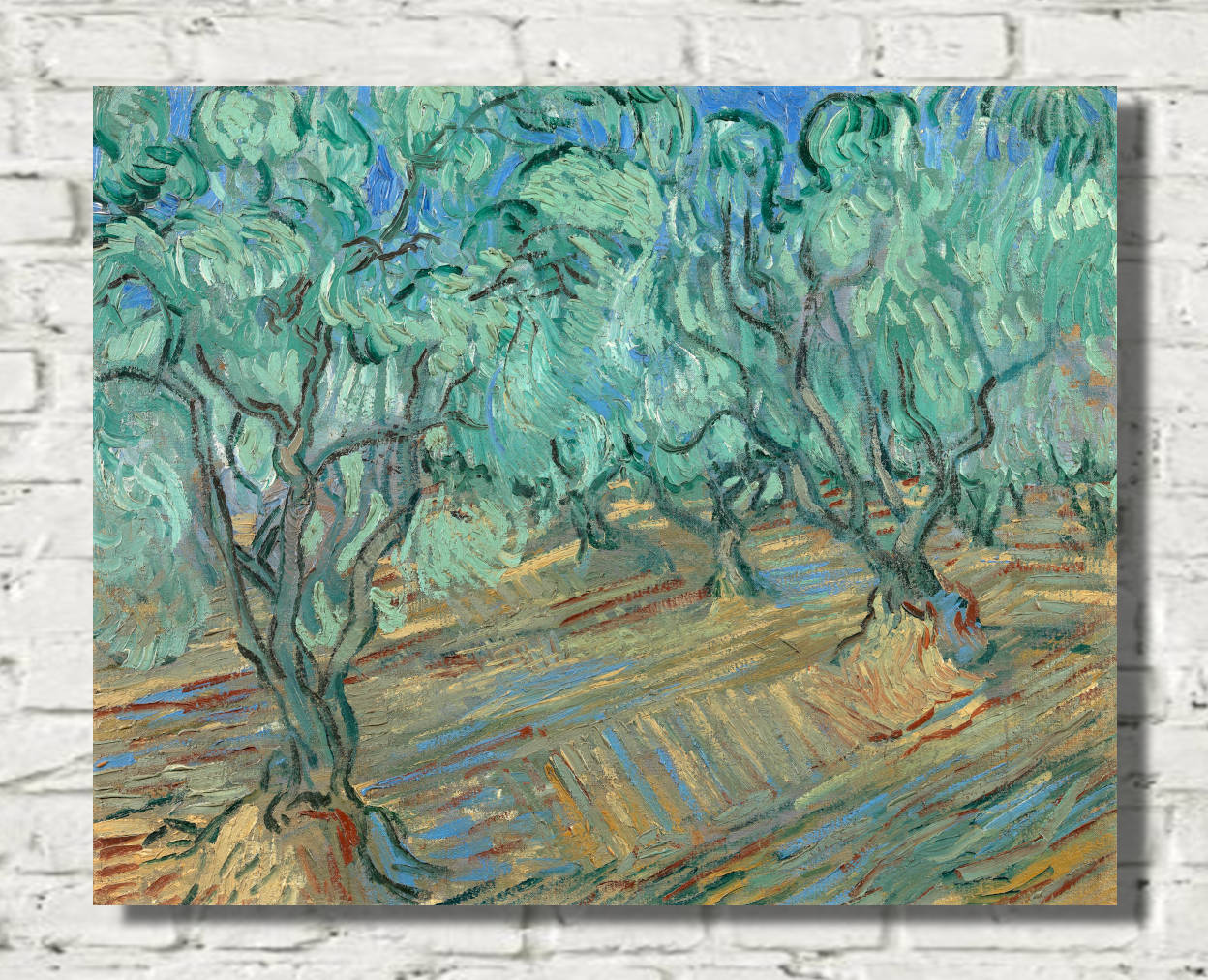 Vincent van Gogh Print, Olive Grove