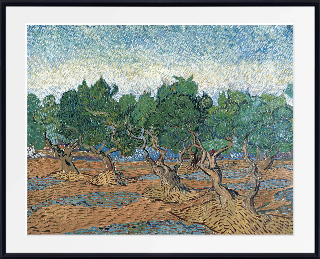 Vincent van Gogh Print, Olive Grove (November)