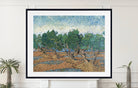 Vincent van Gogh Print, Olive Grove (November)