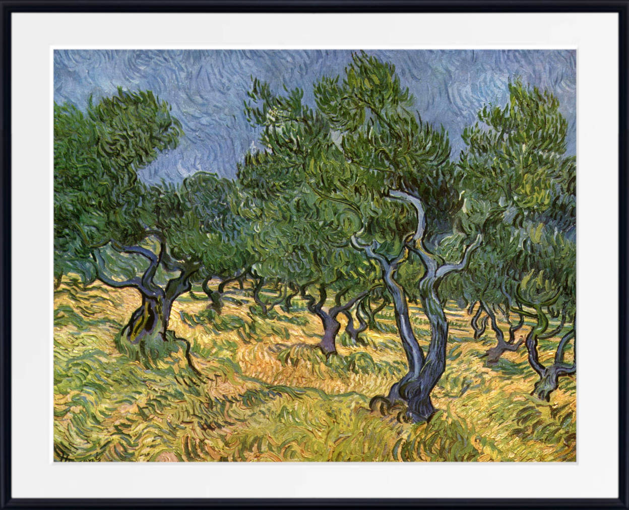 Vincent van Gogh Print, Olive Orchard