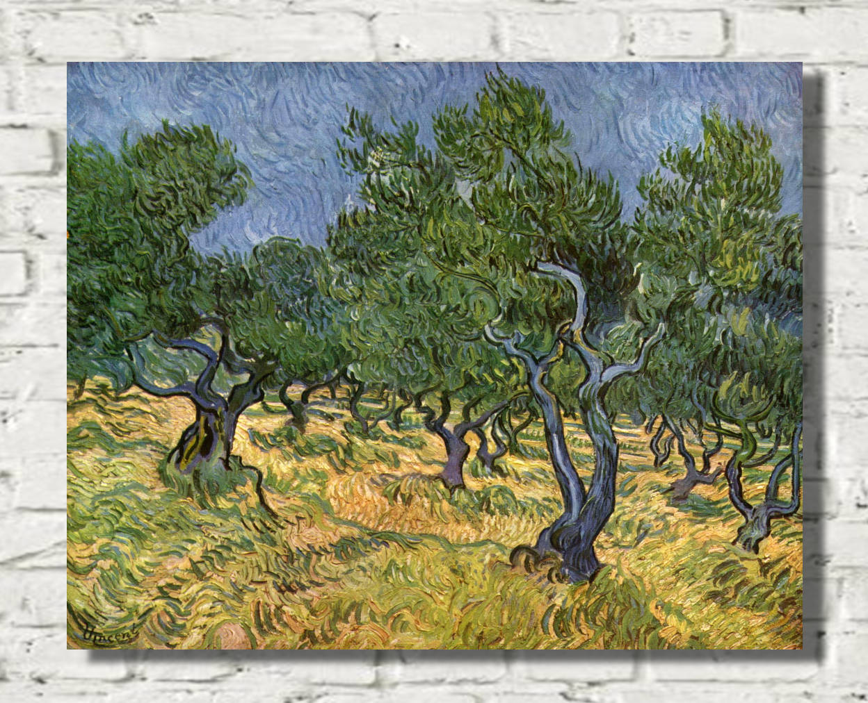 Vincent van Gogh Print, Olive Orchard