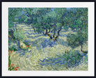 Vincent van Gogh Print, Olive Orchard (June)