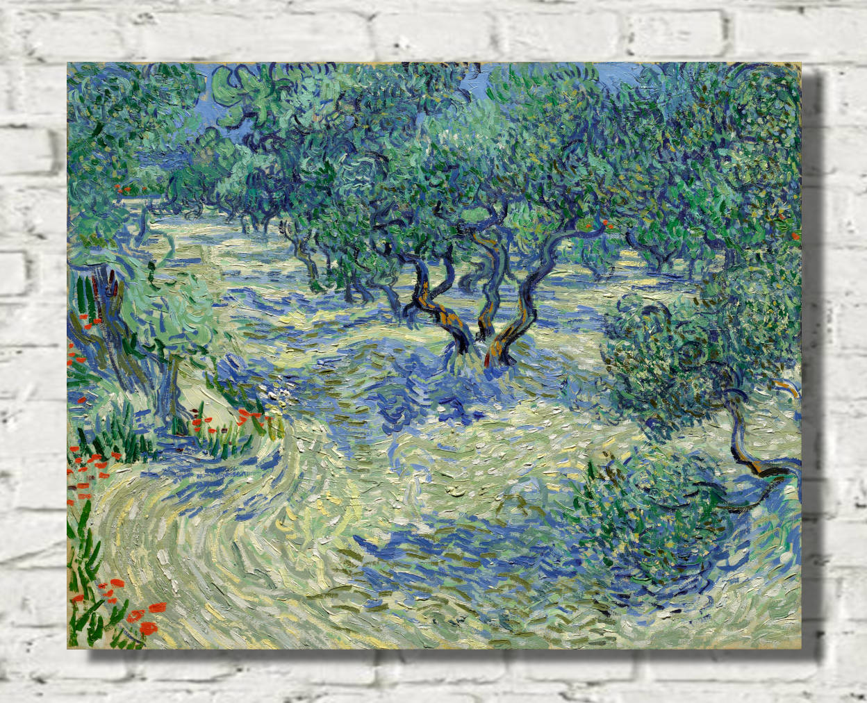 Vincent van Gogh Print, Olive Orchard (June)