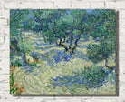 Vincent van Gogh Print, Olive Orchard (June)