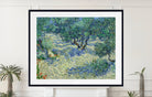 Vincent van Gogh Print, Olive Orchard (June)