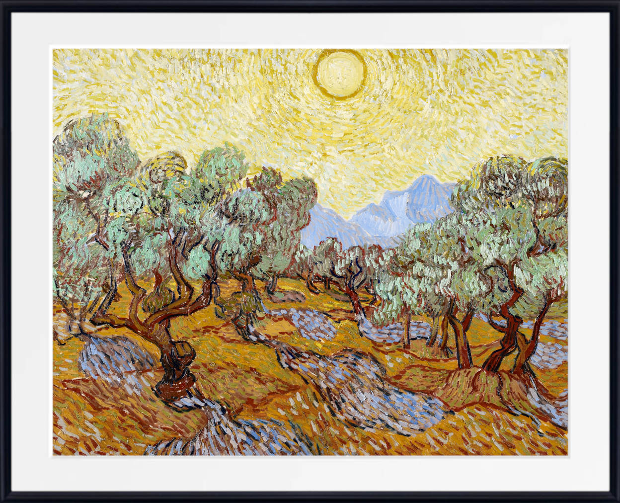 Vincent van Gogh Print, Olive Trees with Yellow Sky and Sun