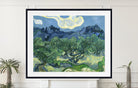 Vincent Van Gogh Fine Art Print, Olive Trees with the Alpilles in the Background