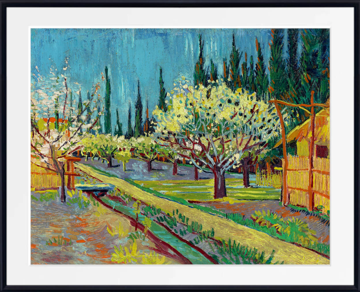 Vincent van Gogh Print, Orchard Bordered by Cypresses