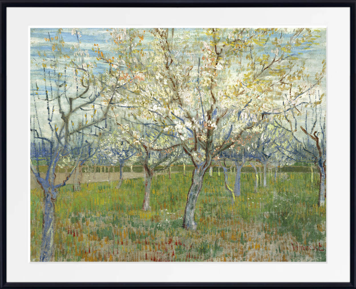 Vincent Van Gogh Fine Art Print, Orchard with Blossoming Apricot Trees