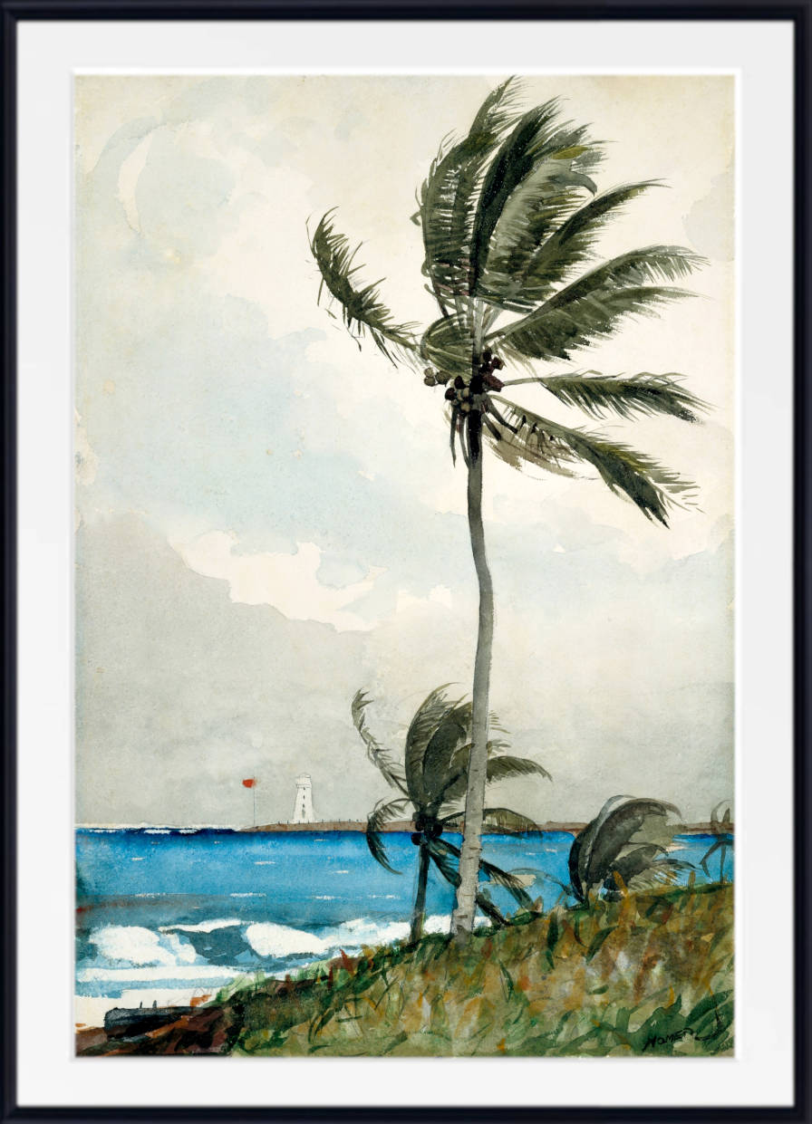 Winslow Homer Fine Art Print :  Palm Tree, Nassau