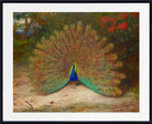 Peacock And Peacock Butterfly, Archibald Thorburn, Birds Print