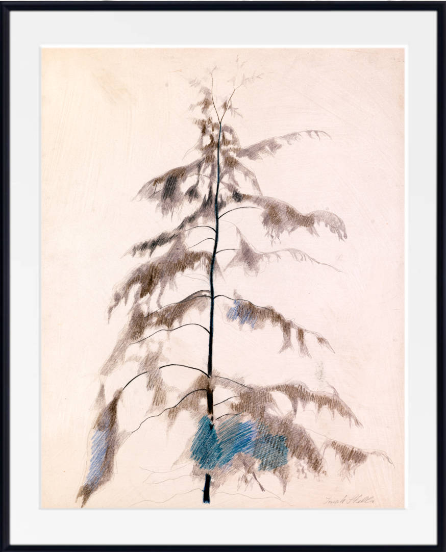 Joseph Stella Fine Art Print, Pine Tree (1919)