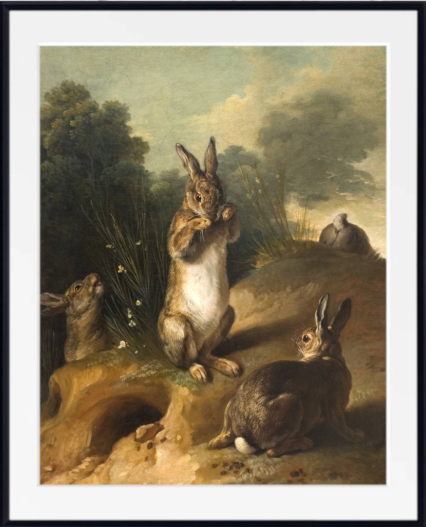 Alexandre Desportes Print, Rabbits (1720-1729))