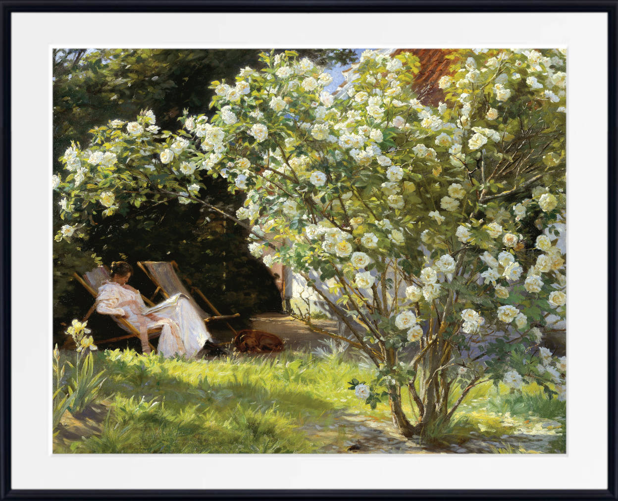 PS Krøyer Print, Roses. Marie Krøyer seated in the deckchair in the garden by Mrs Bendsen’s house (1893)