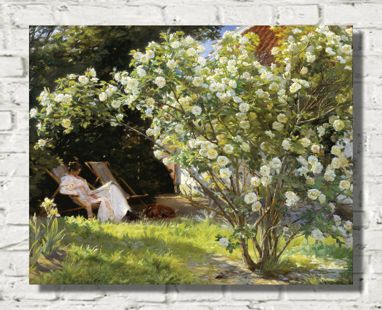 PS Krøyer Print, Roses. Marie Krøyer seated in the deckchair in the garden by Mrs Bendsen’s house (1893)