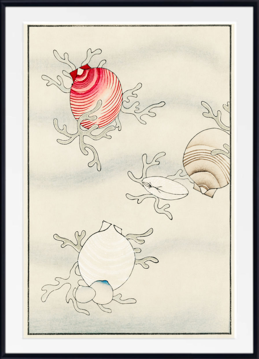 A framed art print featuring a Japanese-style illustration of seashells and coral on a textured off-white background, enclosed in a white mat and a black frame.