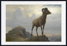 Albert Bierstadt Print : Study Of A Bighorn Ram