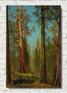 Albert Bierstadt Print : The Grizzly Giant Sequoia, Mariposa Grove, California