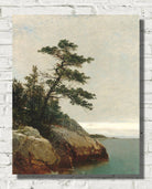 John Frederick Kensett Print, The Old Pine, Darien, Connecticut (1872)