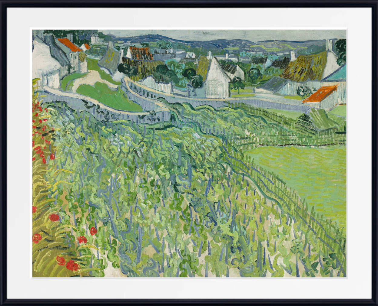 Vineyards at Auvers, Vincent Van Gogh Fine Art Print