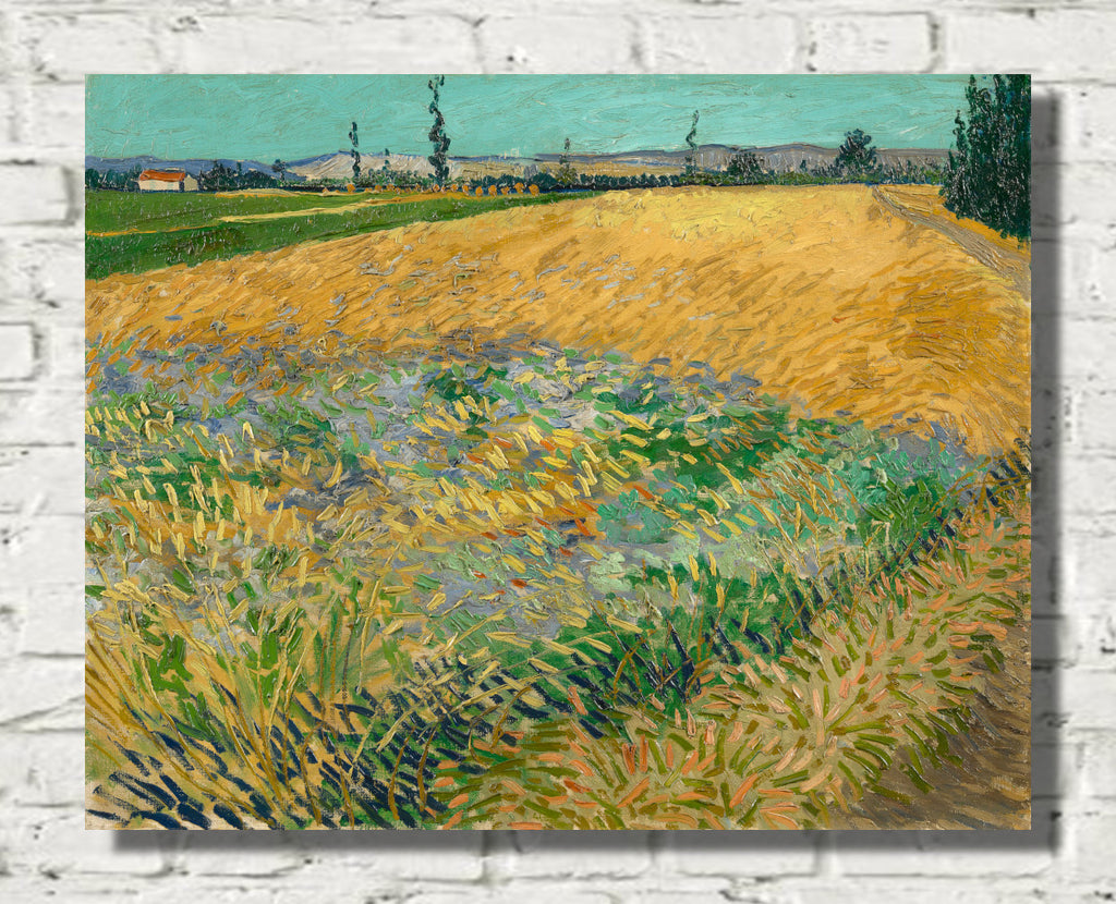 Wheatfield (1888) by Vincent van Gogh