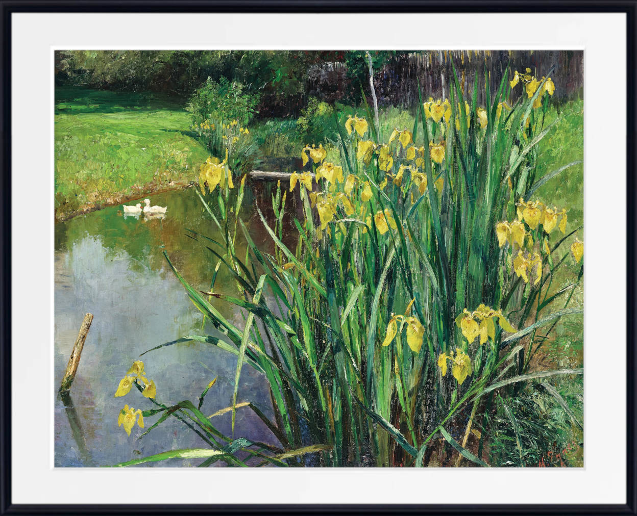 Marie Egner Print, Yellow Irises by a Pond