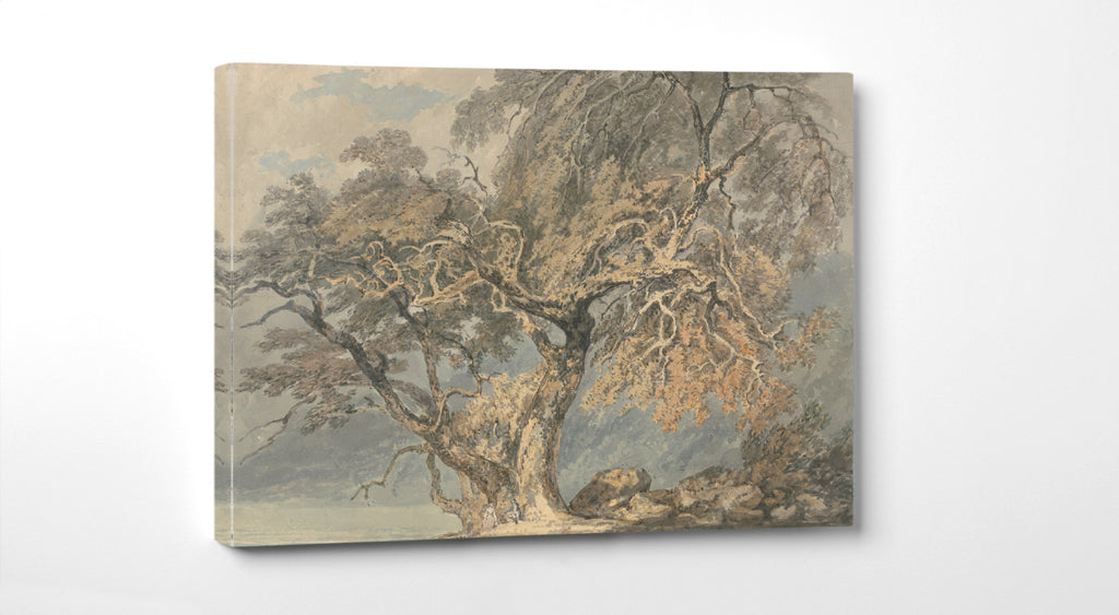 A Great Tree (1796) by Joseph Mallard William Turner