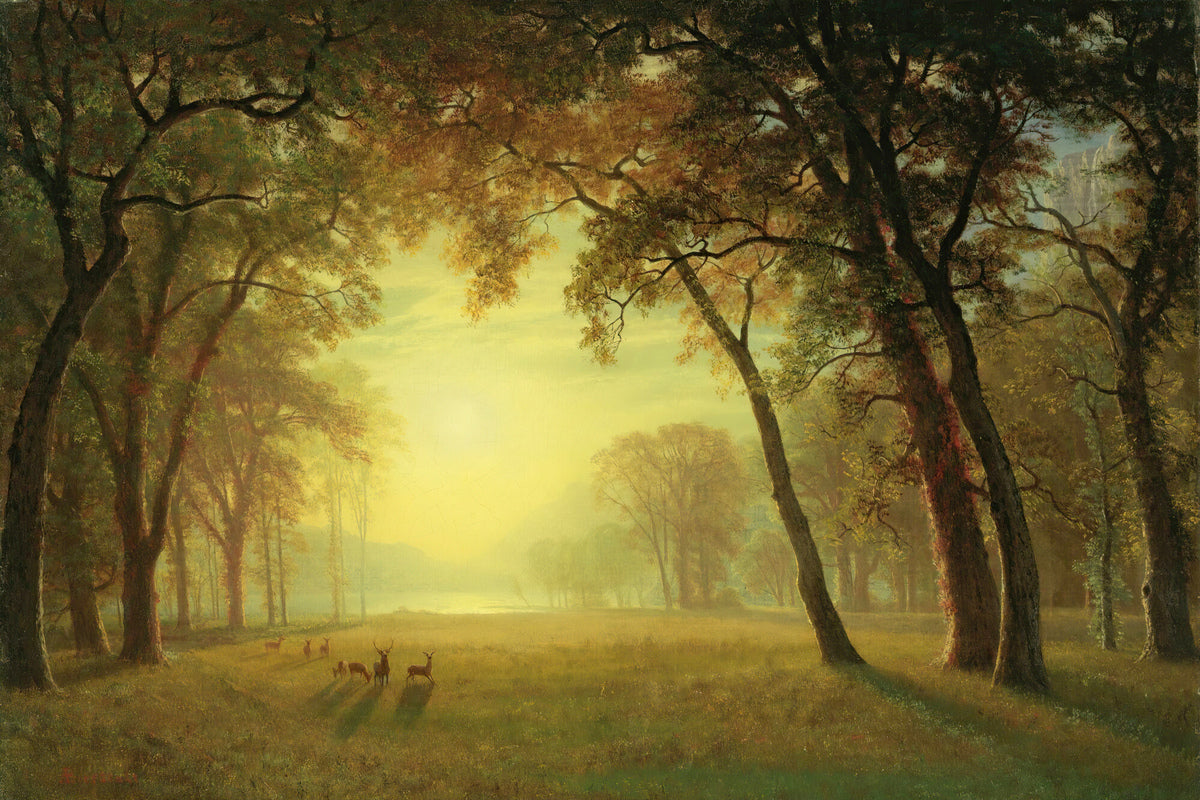 Albert Bierstadt Print, Deer in a clearing, yosemite as an unframed print