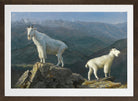 Albert Bierstadt Print, Mountain goats in a brown frame