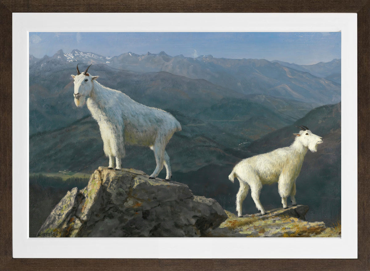 Albert Bierstadt Print, Mountain goats in a brown frame