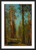 Albert Bierstadt Print, The Grizzly Giant Sequoia, Mariposa Grove, California in a black frame