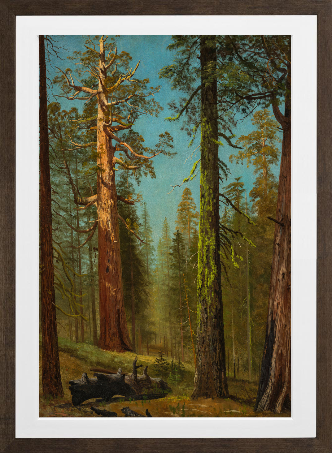 Albert Bierstadt Print, The Grizzly Giant Sequoia, Mariposa Grove, California in a brown frame