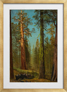 Albert Bierstadt Print, The Grizzly Giant Sequoia, Mariposa Grove, California in a gold frame