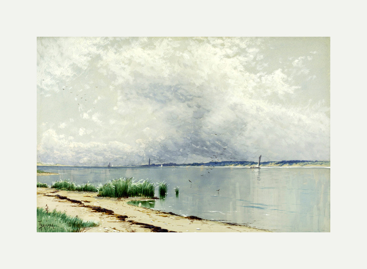 Alfred Thompson Bricher, Reflected Reeds (circa 1875) — rolled canvas