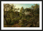 Amaldus Nielsen Print, ‘Ulvegildeskogen’, Mandal (1863) in a black frame
