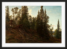 Amaldus Nielsen Print, Vingeråsheia, Telemark (1866) in a black frame