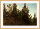 Amaldus Nielsen Print, Vingeråsheia, Telemark (1866) in a light oak frame