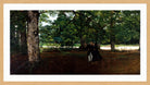 Carolus-Duran Print, Promenade in the Woods (1861) — oak frame