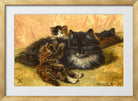 A Gentle Provocation (1899) by Henriette Ronner-Knip — gold frame