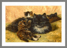 A Gentle Provocation (1899) by Henriette Ronner-Knip — light grey frame