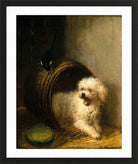 A Puppy in a Barrel by Henriette Ronner-Knip — black frame