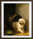 A Puppy in a Barrel by Henriette Ronner-Knip — brown frame