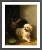 A Puppy in a Barrel by Henriette Ronner-Knip — dark grey frame