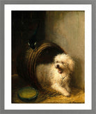 A Puppy in a Barrel by Henriette Ronner-Knip — light grey frame