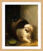 A Puppy in a Barrel by Henriette Ronner-Knip — oak frame
